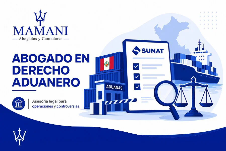 Abogado en derecho aduanero